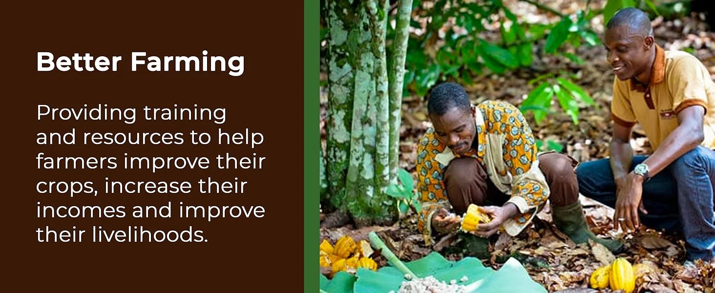 【新用户专享】雀巢奇巧和朋友大礼盒 | 69 条巧克力饼干 – 奇巧、蓝丝带、太妃脆 | 散装巧克力礼盒 1.357 公斤 x 2 盒